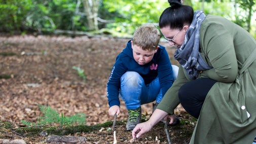 Visitors looking at mushrooms in the woodland area of Longshaw, Burbage and the Eastern Moors, Derbyshire